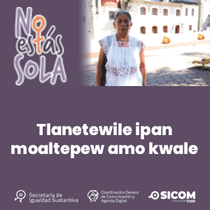 Banner “NO ESTÁS SOLA”
