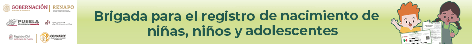 Banner Soy México