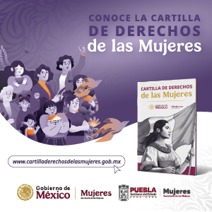Banner Cartilla dldmujeres