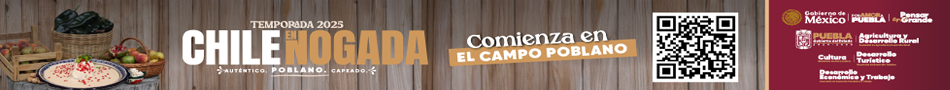 Banner CHILE EN NOGADA TEMPORADA 2025