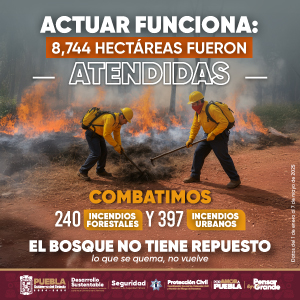 Banner incendios forestales