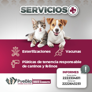 Banner "Bienestar Animal"