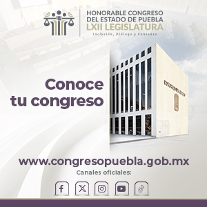 Banner Conoce tu Congreso