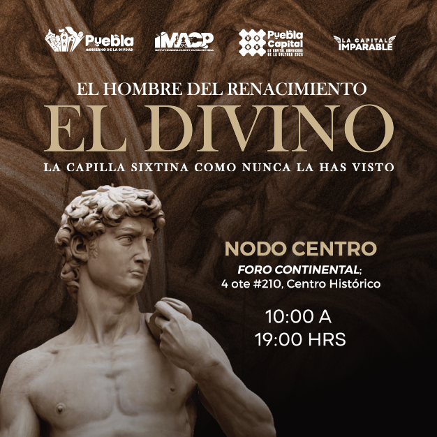 BANNER “Exposición David”