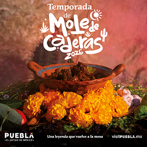 Banner “MOLE DE CADERAS”