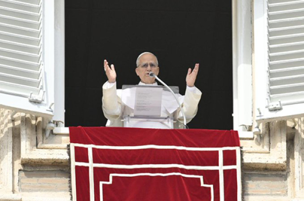 Cristo transfigura las heridas de la historia e ilumina el coraz&oacute;n del hombre