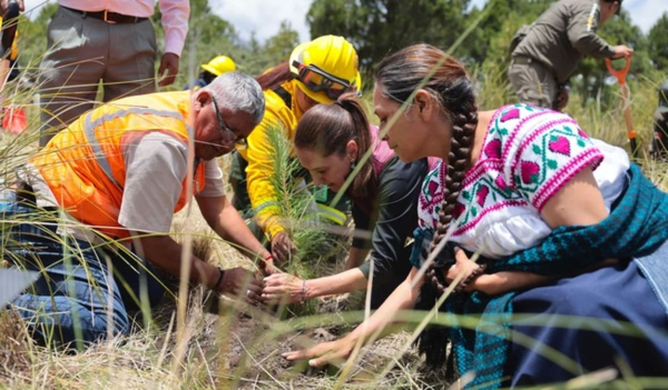 Arranca Jornada Nacional de Reforestación 2026