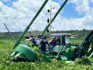 Puebla usará tecnología para retiro de lirio en Valsequillo