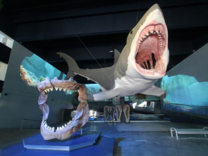 &iexcl;Visita el Museo de la Evoluci&oacute;n!