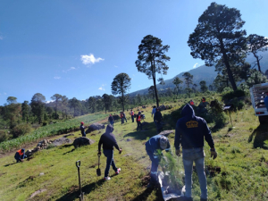 Granjas Carroll impulsa y fortalece la reforestación en Perote y Pico de Orizaba