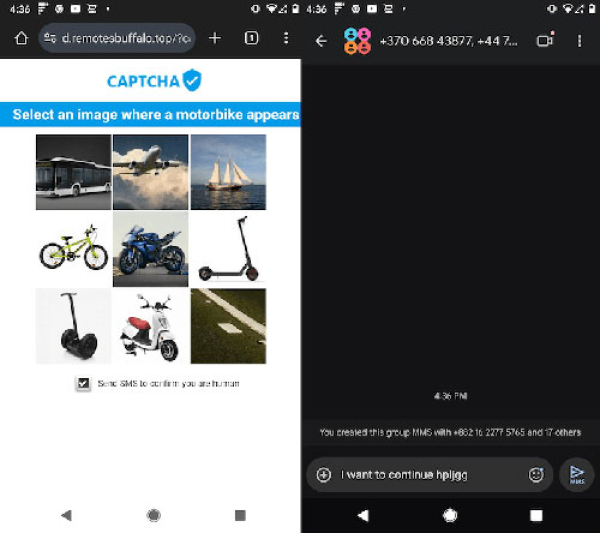 Utilizan sistemas CAPTCHA fraudulentos.