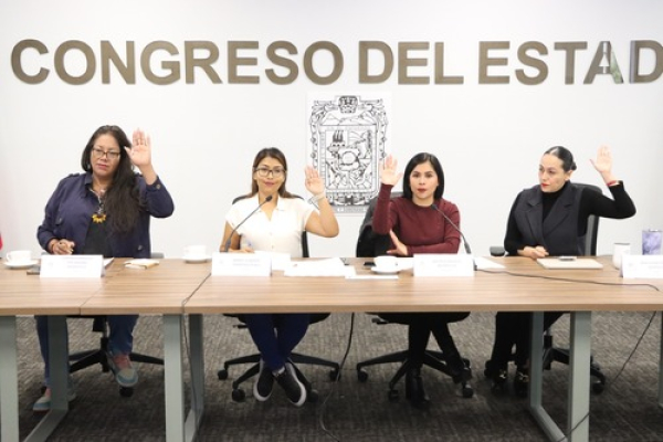 El Congreso de Puebla reconoce la violencia simbólica