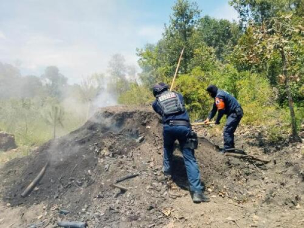 Inhabilita SSP hornos para deshidratación ilegal de madera