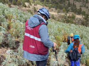 Localizan con vida a alpinistas en el Citlalt&eacute;petl