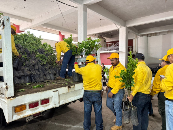 Plan de Reforestación 2025 avanza en municipios poblanos