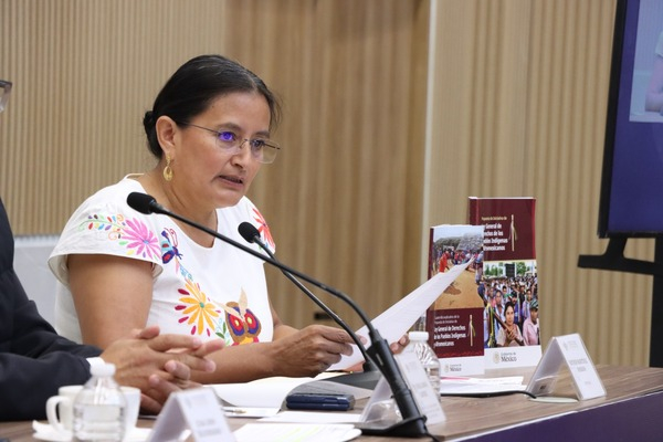 Participación indígena es clave para nueva Ley: Martínez