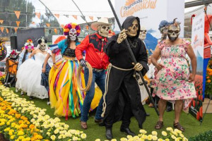 Florece la cempasúchil en Atlixco