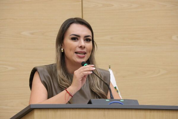 Piden aplicar la ley por vidrios polarizados