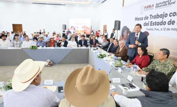 Impulso al sector primario sin burocratismo: Armenta