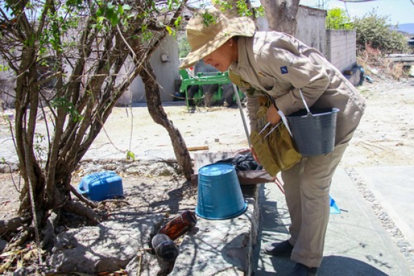 Dengue disminuye 81% en Puebla durante 2025: Salud