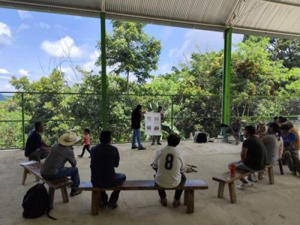 IPPI fortalece derechos indígenas en Puebla