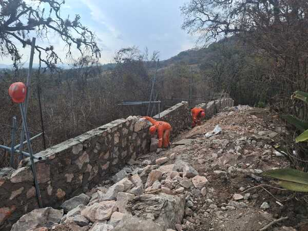 Flor del Bosque abierto parcialmente