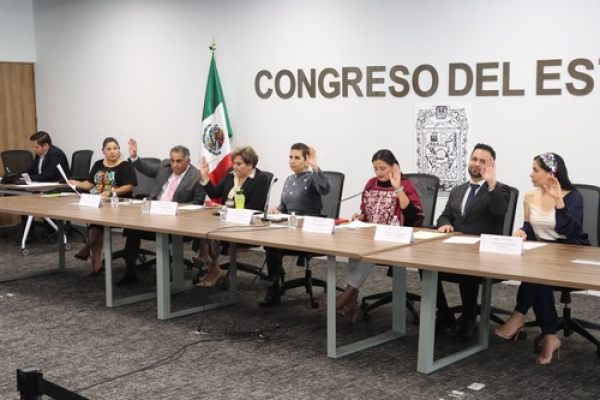 Piden reforestaci&oacute;n con especies nativas