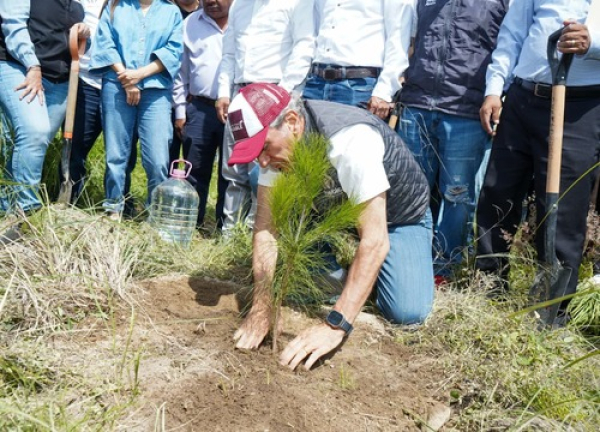 Buscan plantar 100 mil &aacute;rboles en Puebla Capital