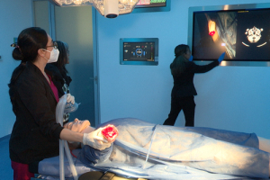 Docentes de excelencia en el área de la salud: BUAP