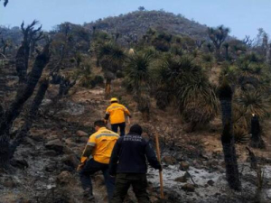 SSP fortalece combate a incendios forestales
