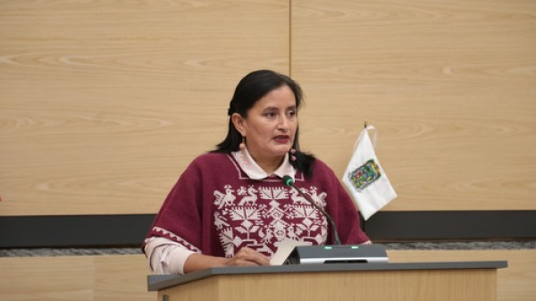 Congreso busca protección del arte de Hueyapan