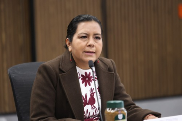 En comisi&oacute;n, comparece SADR ante el Congreso