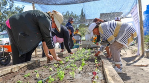 Arranca huerto productivo en Nopalucan: SEDIF