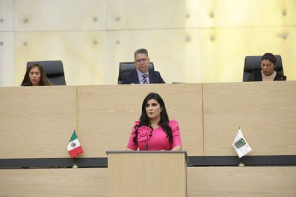 Delfina Pozos plantea reforma contra la trata