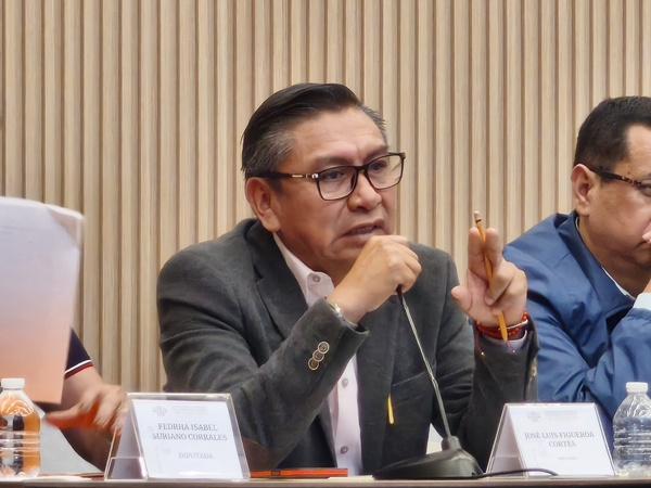 PT ha presentado 268 iniciativas en el Congreso