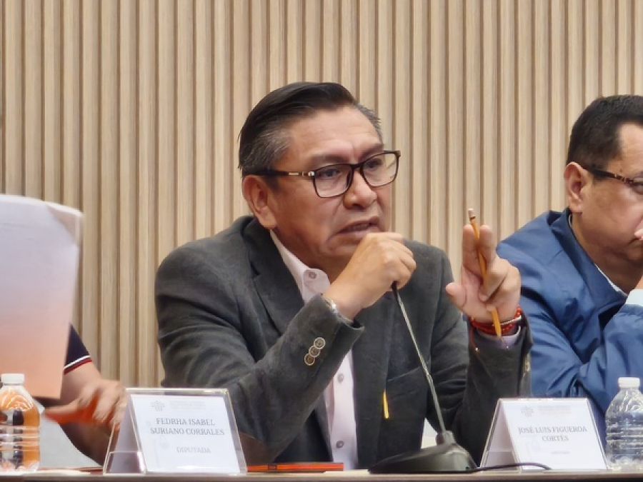 PT ha presentado 268 iniciativas en el Congreso