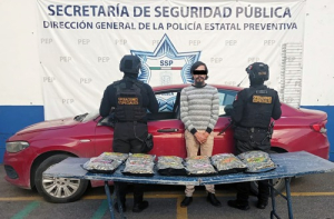 Detiene SSP a hombre con posible marihuana