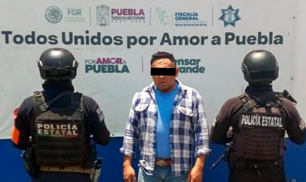 Aseguran 370 piezas de madera ilegal