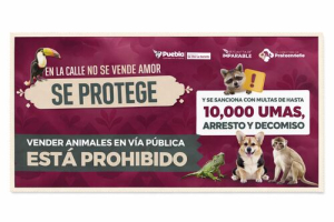 Prohibida la venta de animales en v&iacute;a p&uacute;blica