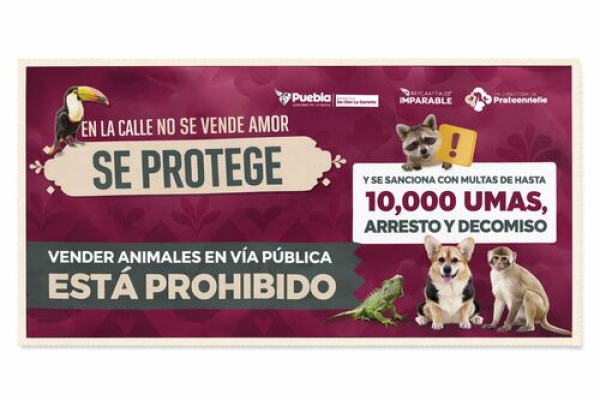 Prohibida la venta de animales en v&iacute;a p&uacute;blica