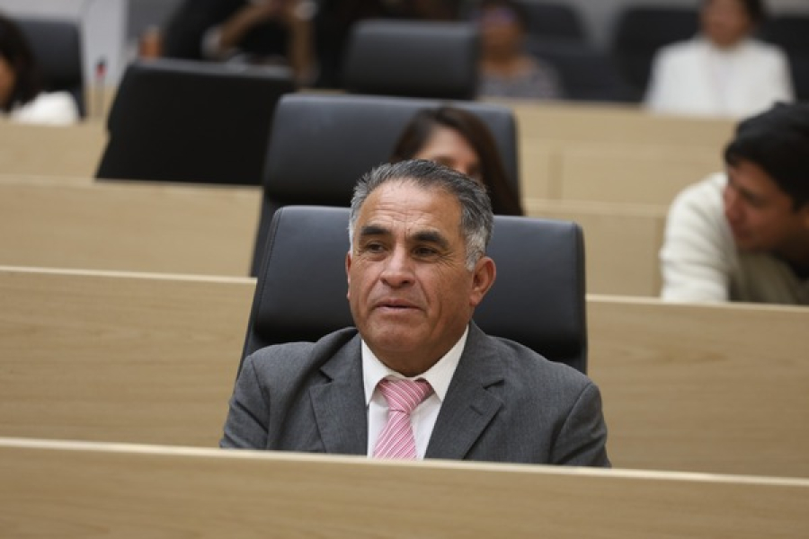 Piden fomentar azoteas y muros verdes