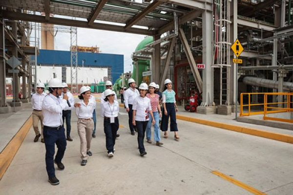 Sin CFE no habría soberanía energética: Sheinbaum