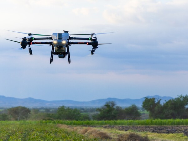 Tepeojuma cuida su caña con drones agrícolas