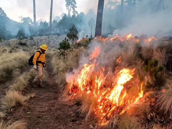 Puebla combate incendios y protege ecosistemas