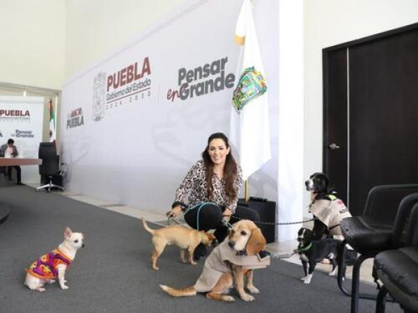 Estado y municipios a favor de seres sintientes