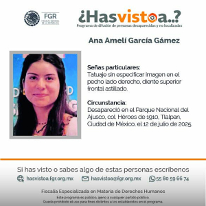 Servicio Social | Programa ¿Has visto a? FGR