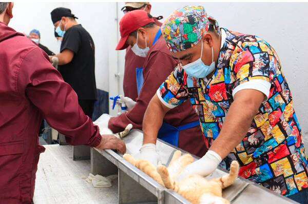 Ayuntamiento realiza más de 200 jornadas de protección animal