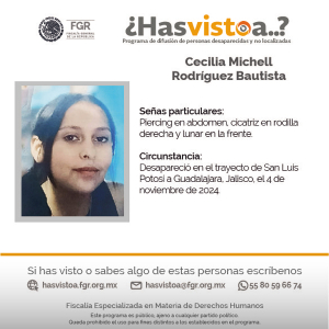 Servicio Social | Programa ¿Has visto a? FGR