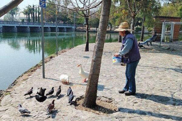 Animales del Parque Ecológico en buen estado: IBA
