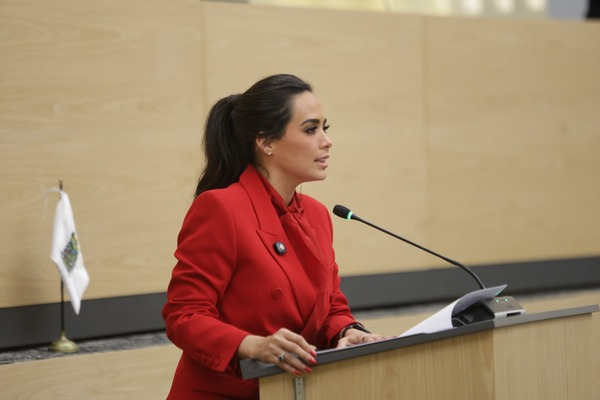 Buscan erradicar delitos cometidos por menores